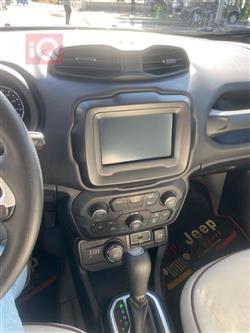 جيب رينيجيد